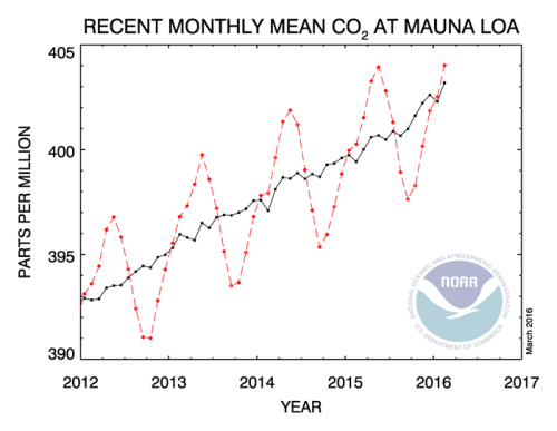 CO2Trend_MaunaLoaReading_NOAA_700_543_s_c1_c_c